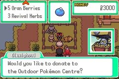 Pokémon Ikigai Build Works Reveal