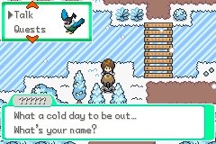 Pokémon Ikigai Converstaions Reveal