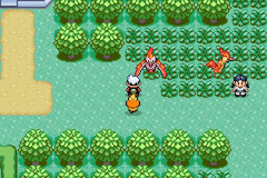 Full Odds Shiny Overworld Wild Encounter